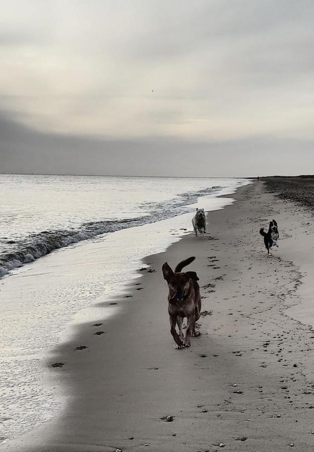 Dune Cottage Caister-on-Sea Esterno foto